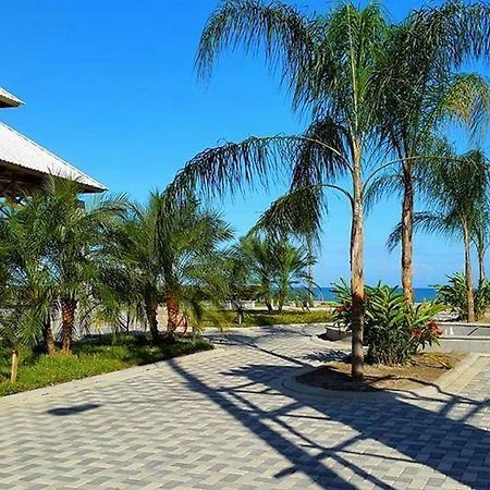 Uw Oasis Hotel La Ceiba Exteriér fotografie